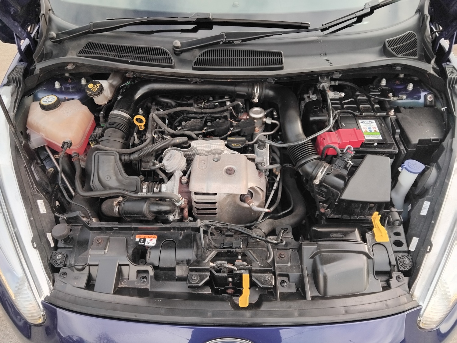 Used Ford Fiesta 2016 for sale - 77448178: Photo 28