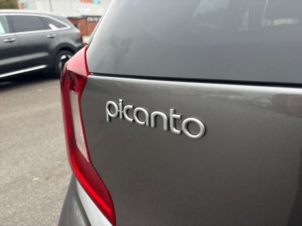 Used Kia Picanto 2024 for sale - 76243637: Photo 38