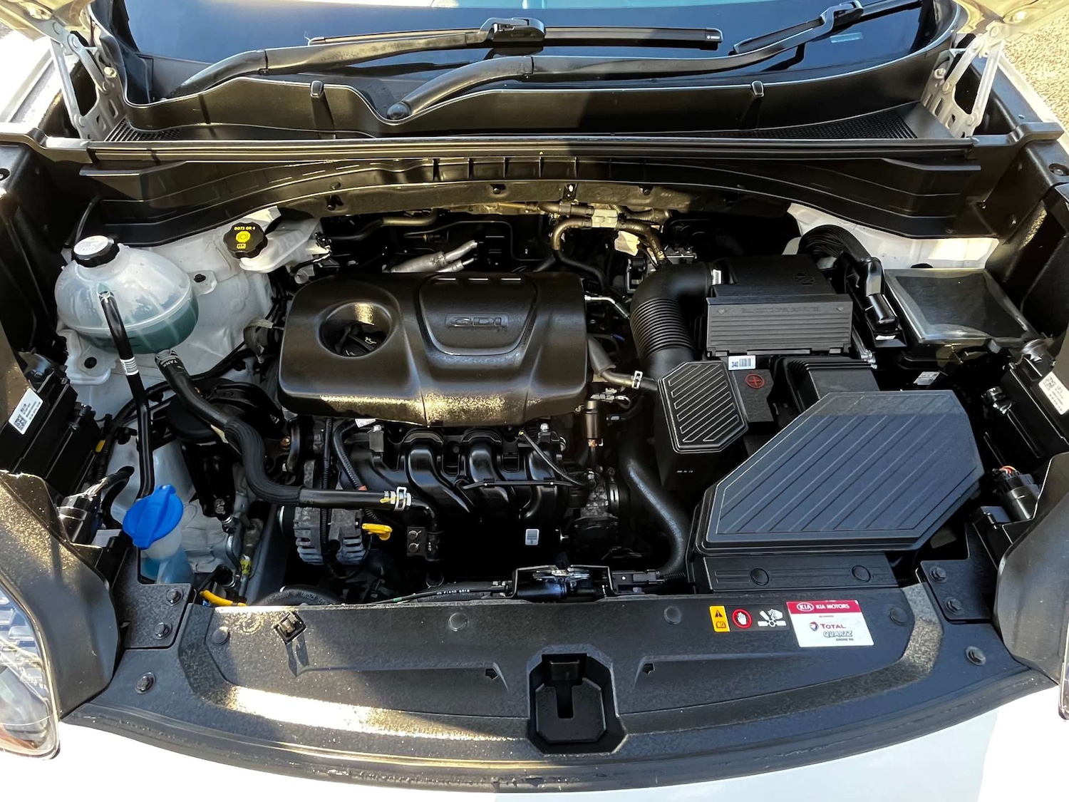 Used Kia Sportage 2019 for sale - 76910590: Photo 7