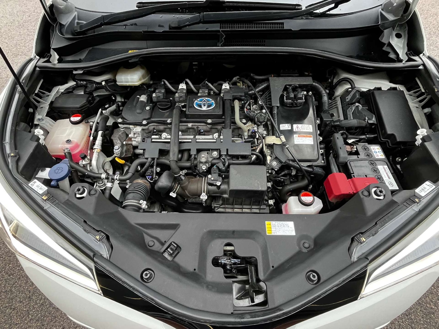 Used Toyota C-HR 2017 for sale - 77392219: Photo 7