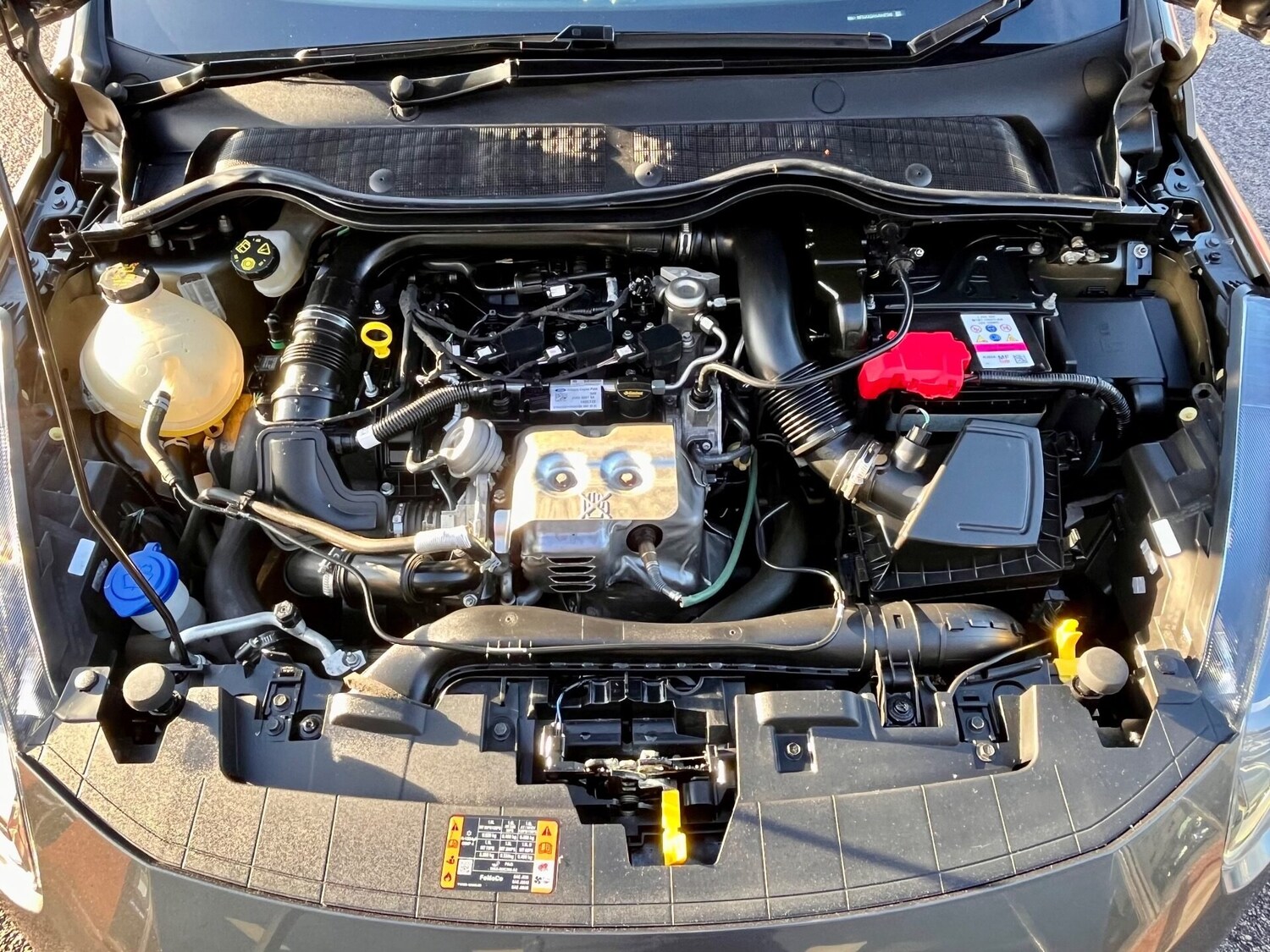 Used Ford Fiesta 2023 for sale - 76343802: Photo 7