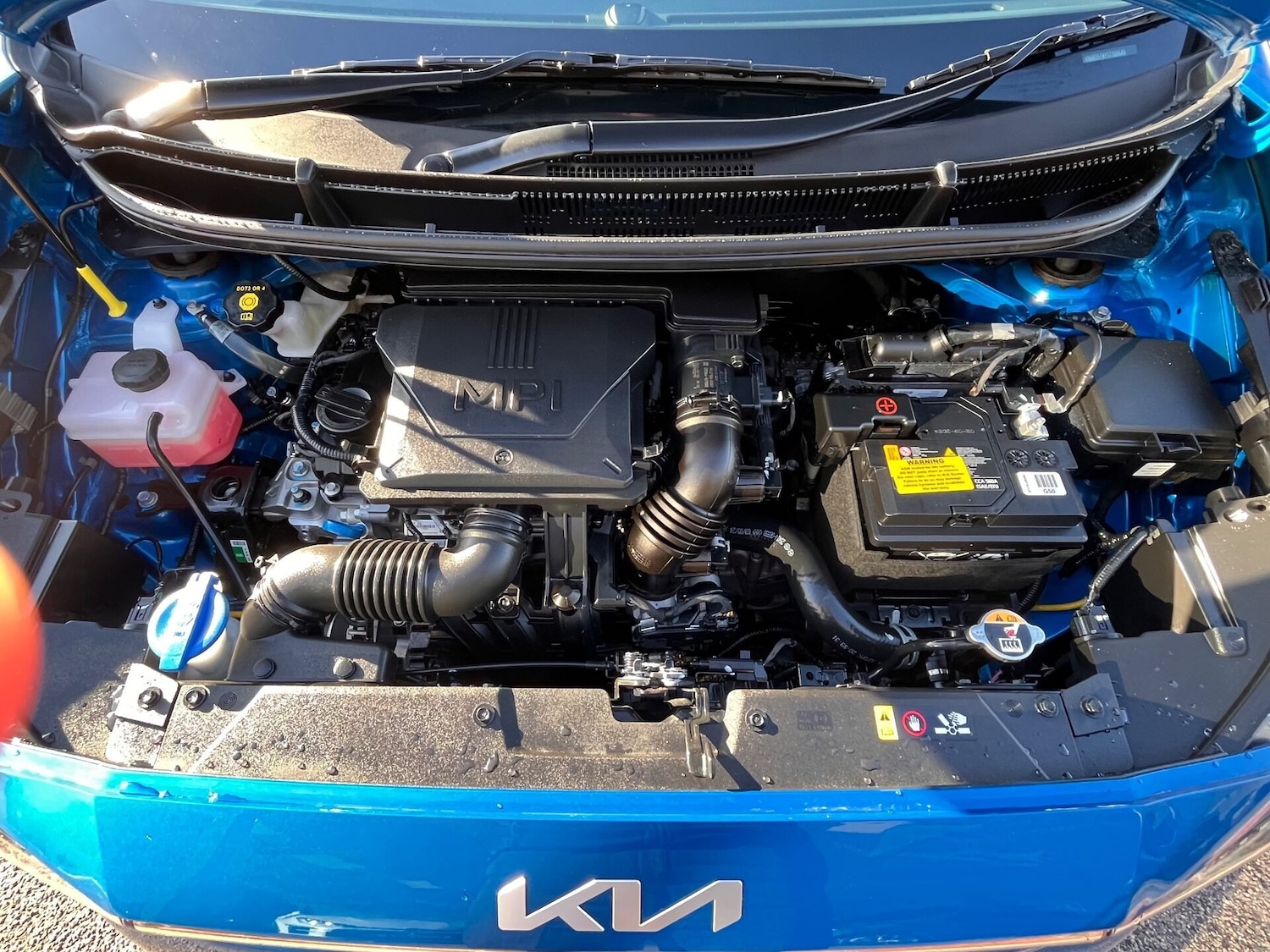 Used Kia Picanto 2024 for sale - 76287042: Photo 7