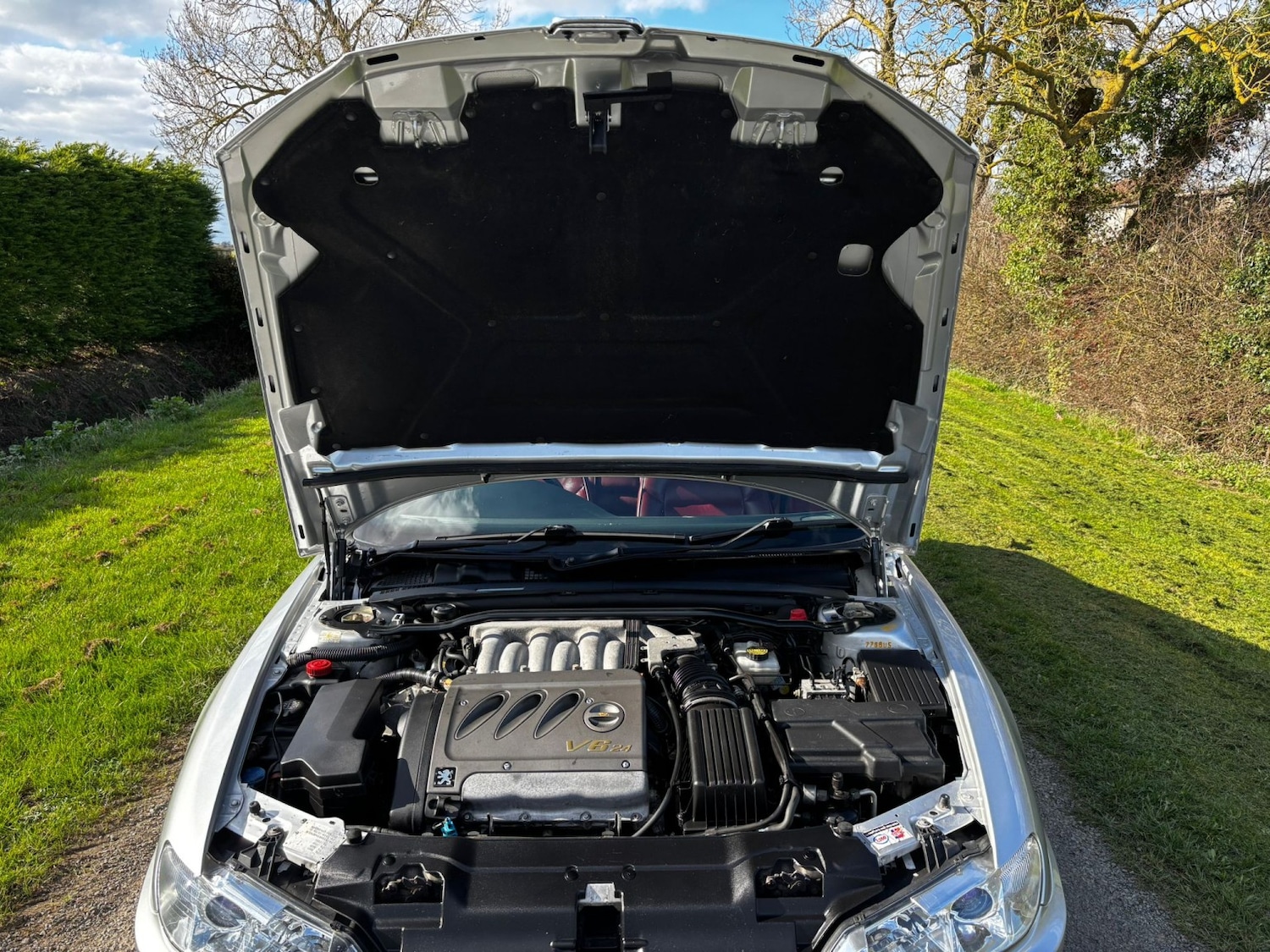 Used Peugeot 406 1998 for sale - 77636965: Photo 36