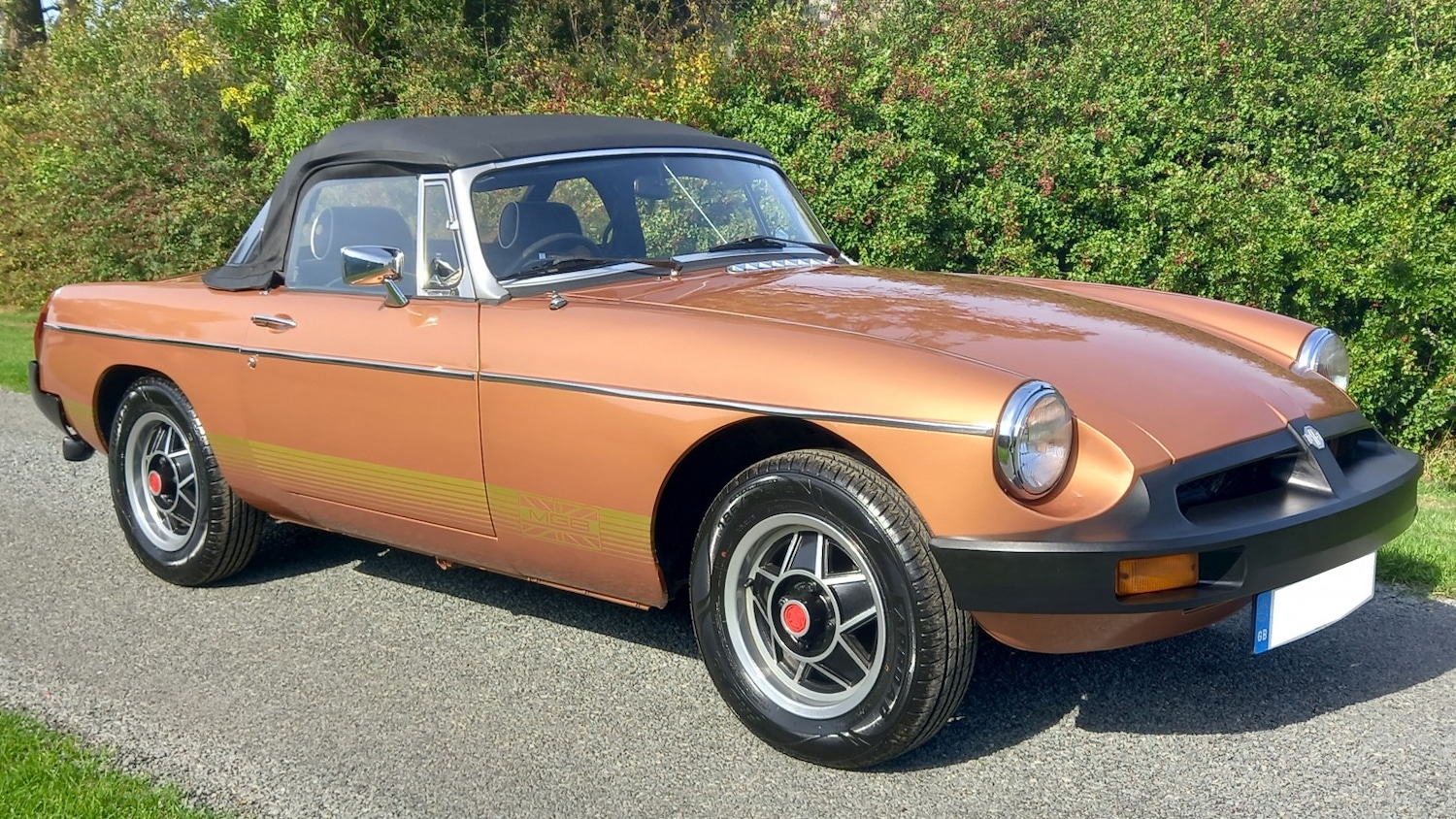 Used MG MGB 1981 for sale - 77464785: Photo 18