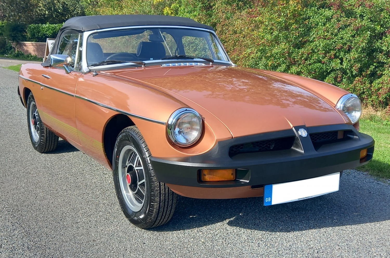Used MG MGB 1981 for sale - 77464785: Photo 19