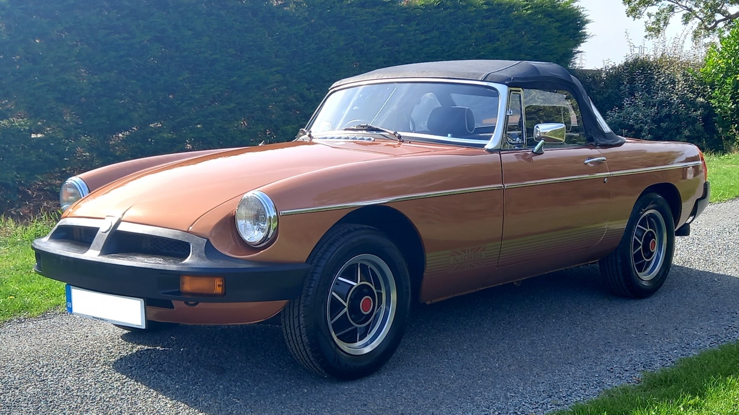 Used MG MGB 1981 for sale - 77464785: Photo 22