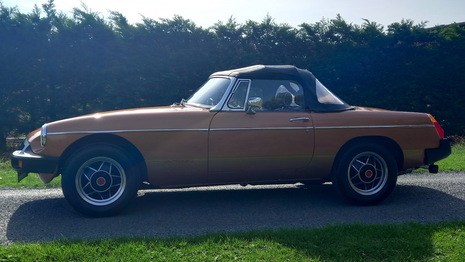 Used MG MGB 1981 for sale - 77464785: Photo 23