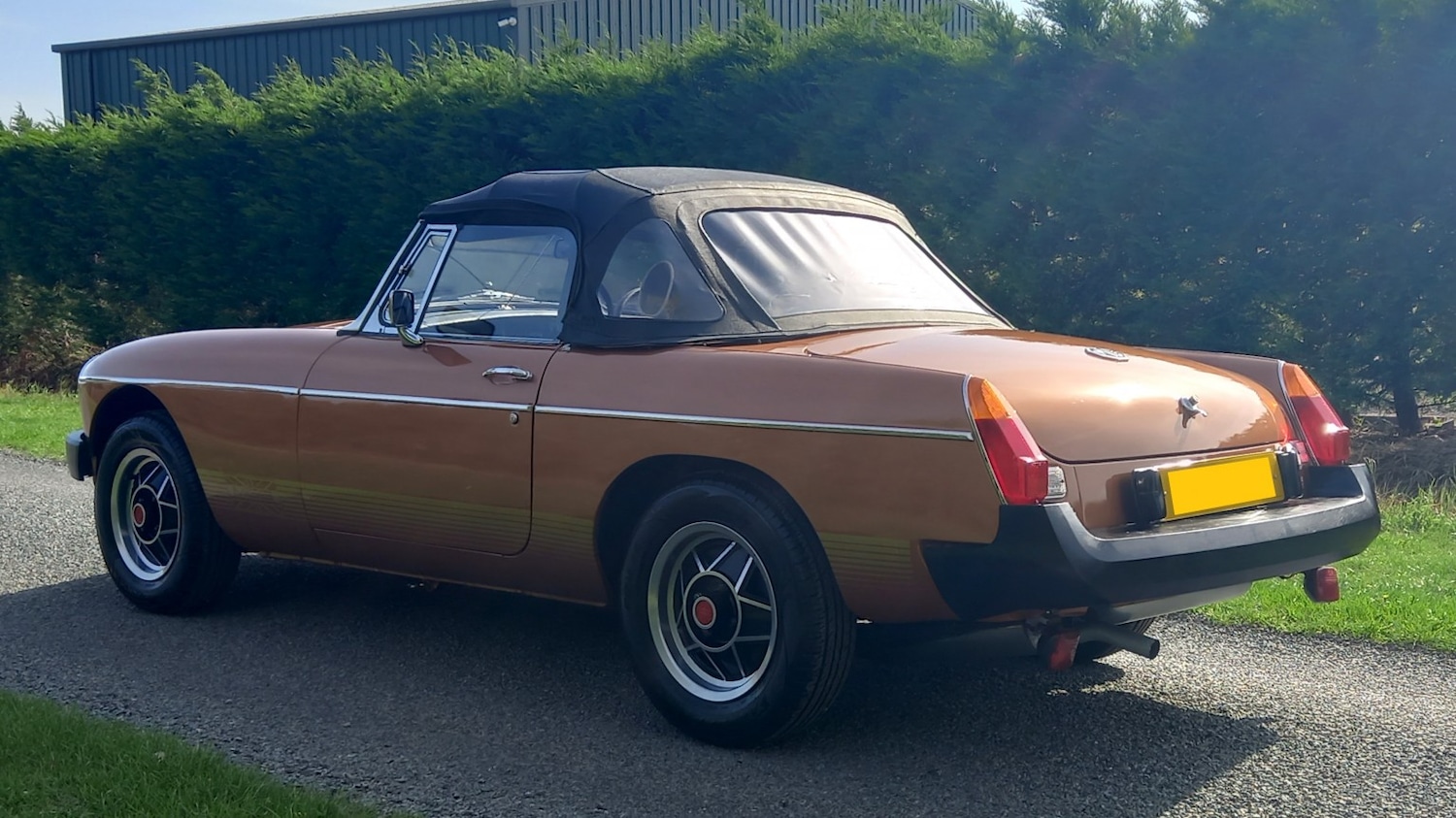 Used MG MGB 1981 for sale - 77464785: Photo 24