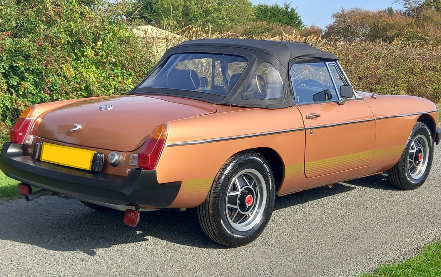 Used MG MGB 1981 for sale - 77464785: Photo 28