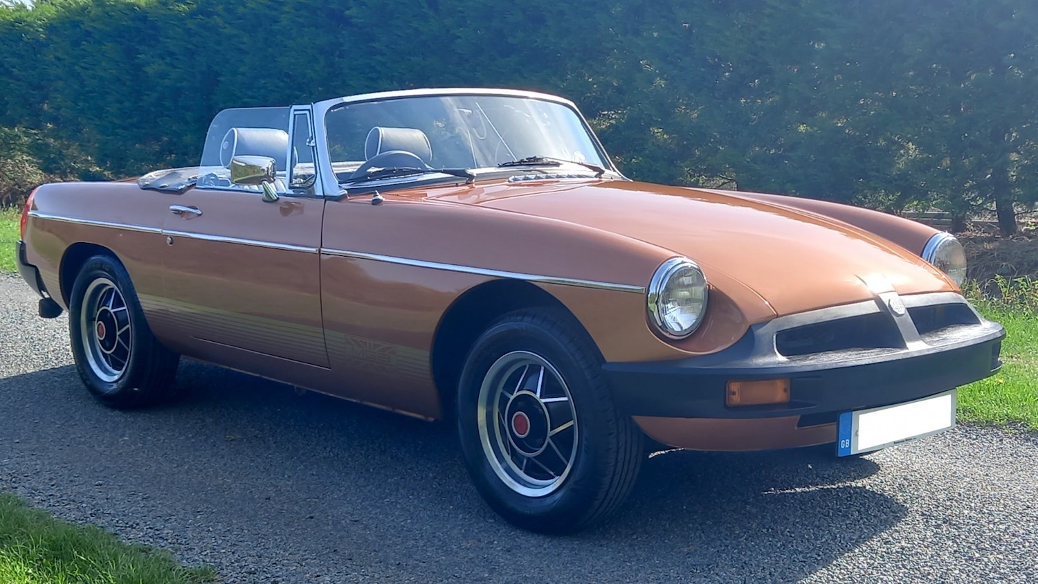 Used MG MGB 1981 for sale - 77464785: Photo 3