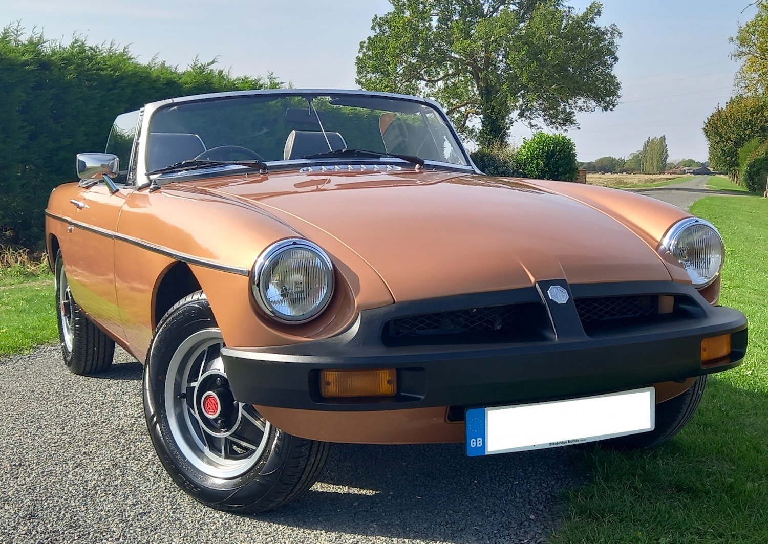 Used MG MGB 1981 for sale - 77464785: Photo 39