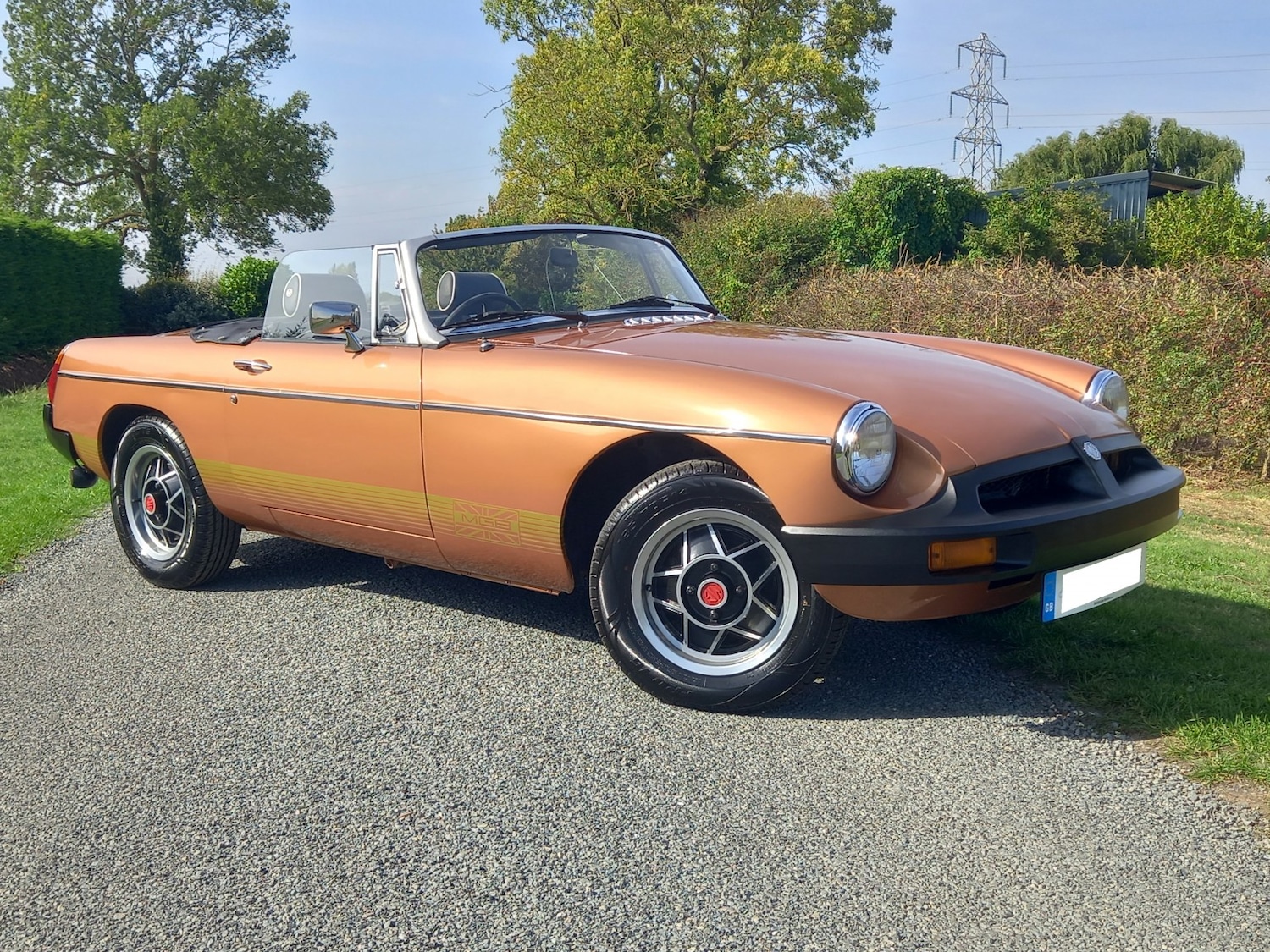 Used MG MGB 1981 for sale - 77464785: Photo 40