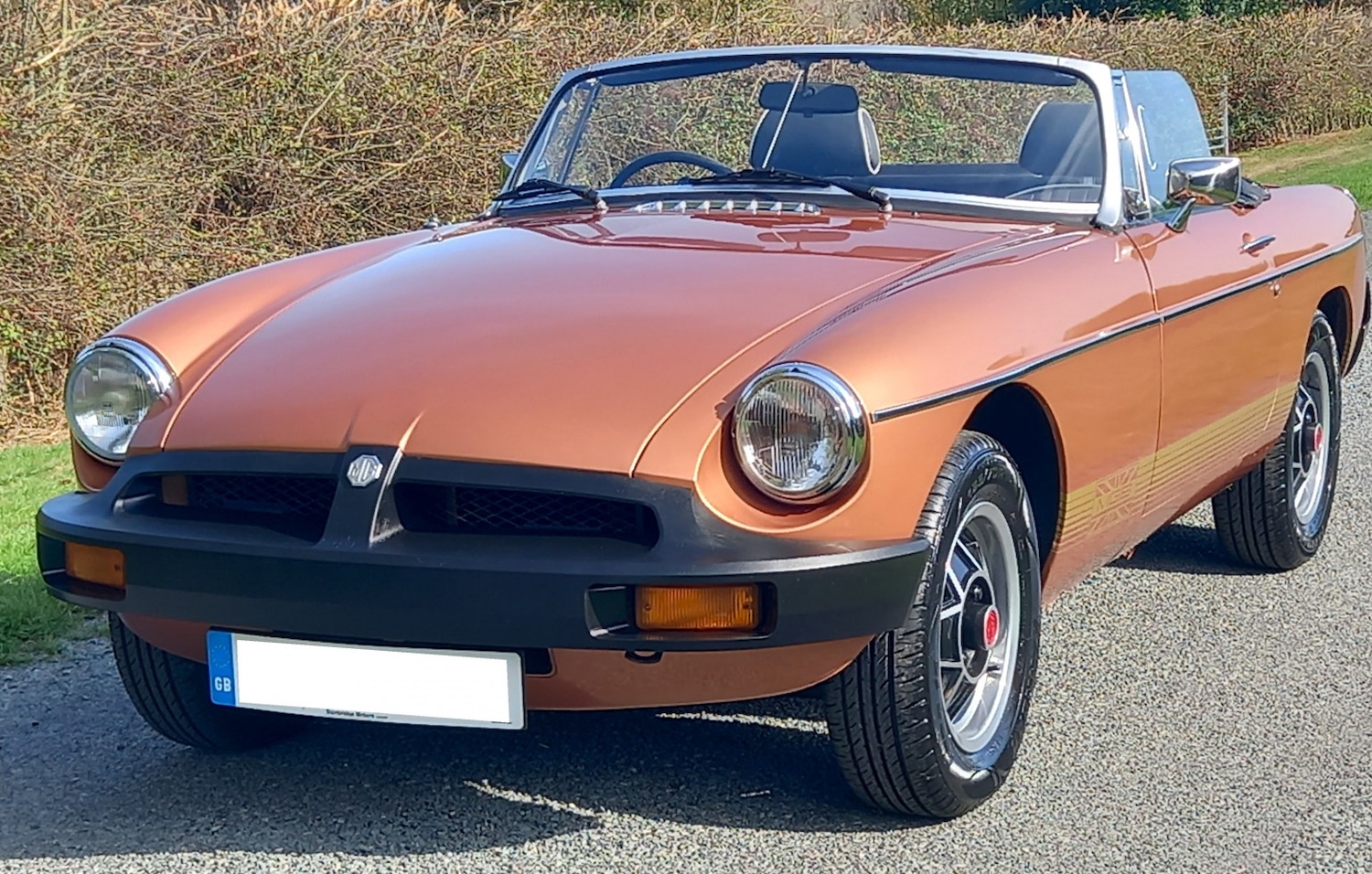 Used MG MGB 1981 for sale - 77464785: Photo 6