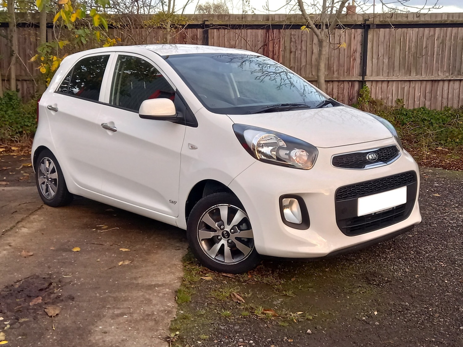 Used Kia Picanto 2016 for sale - 76418414: Photo 1