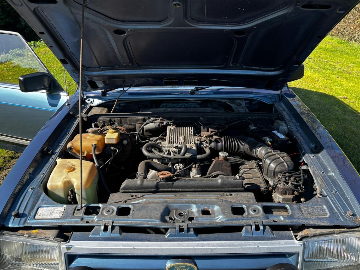 Used Ford Granada 1981 for sale - 78031695: Photo 41