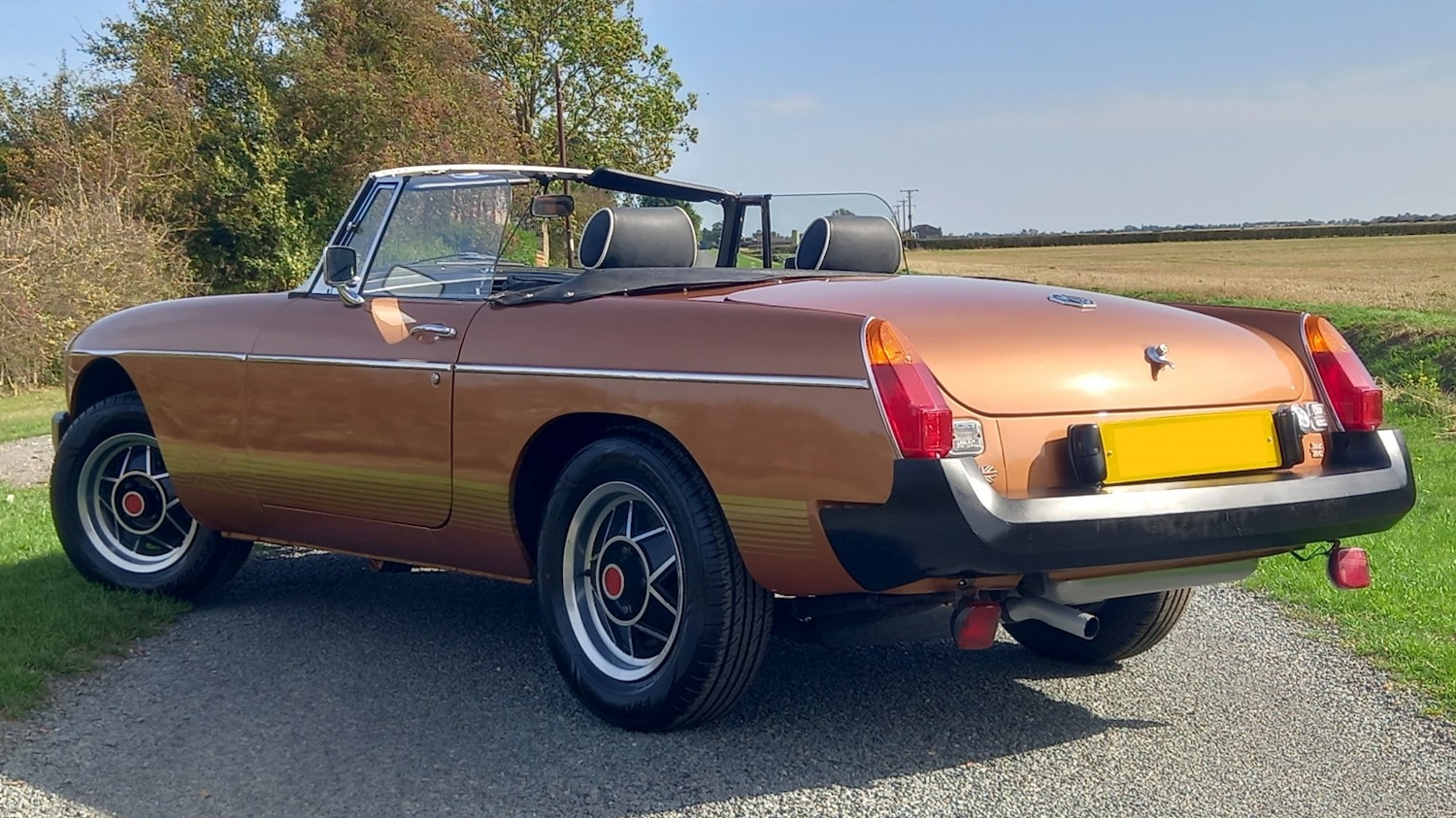 Used MG MGB 1981 for sale - 76793917: Photo 41