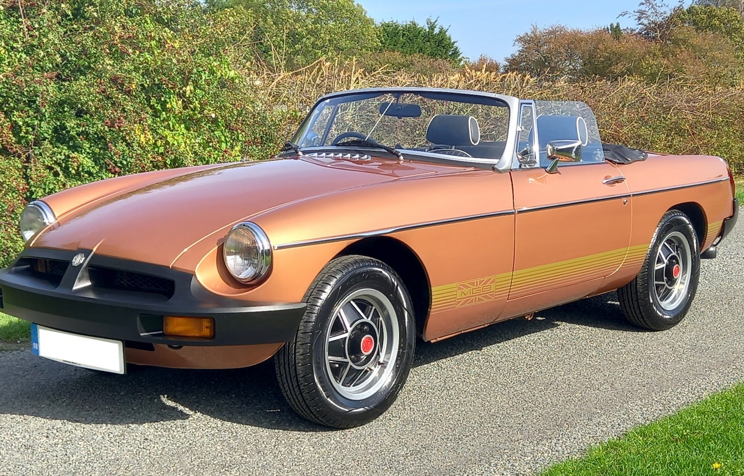 Used MG MGB 1981 for sale - 76793917: Photo 7