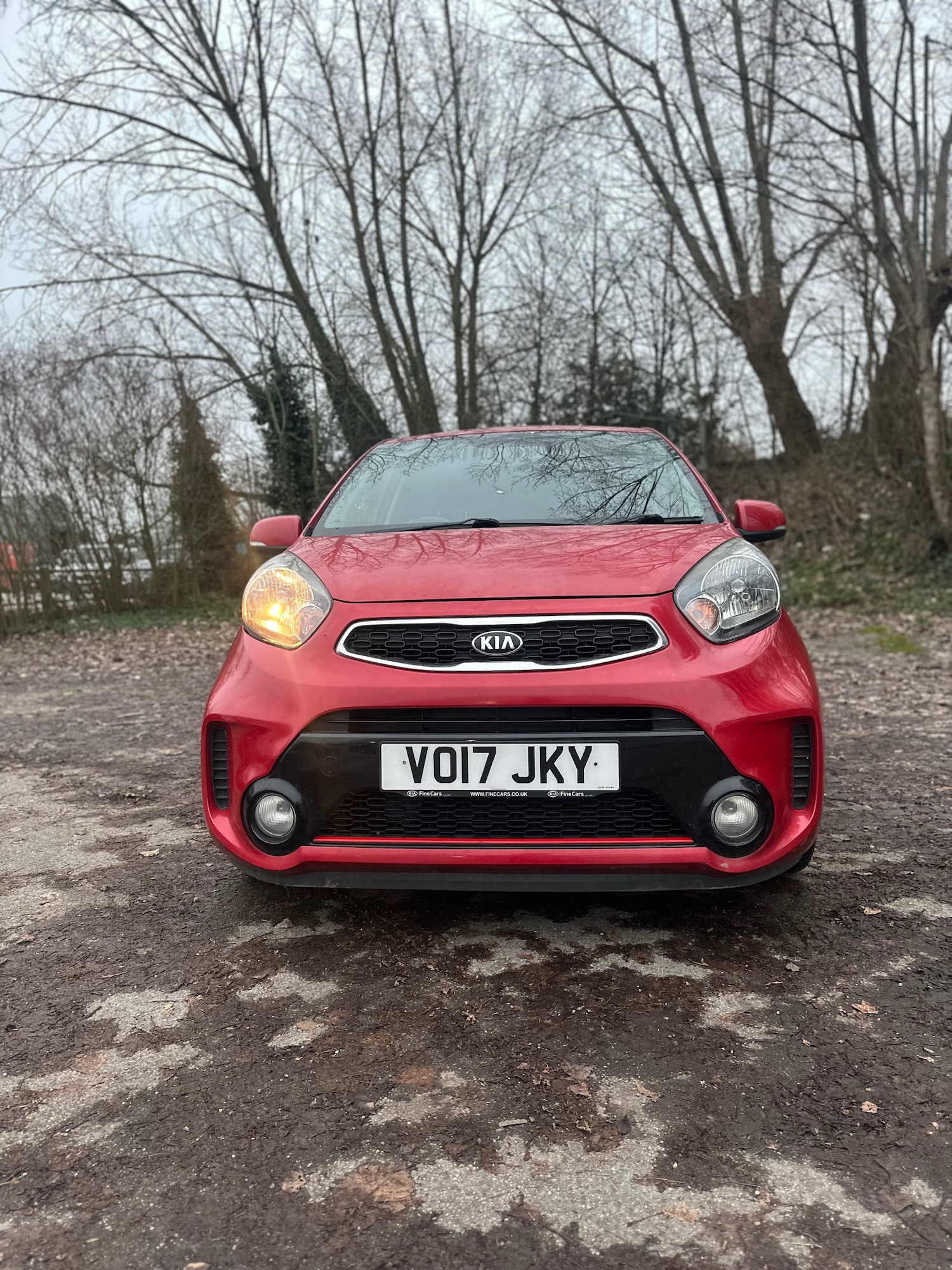 Used Kia Picanto 2017 for sale - 77063442: Photo 1