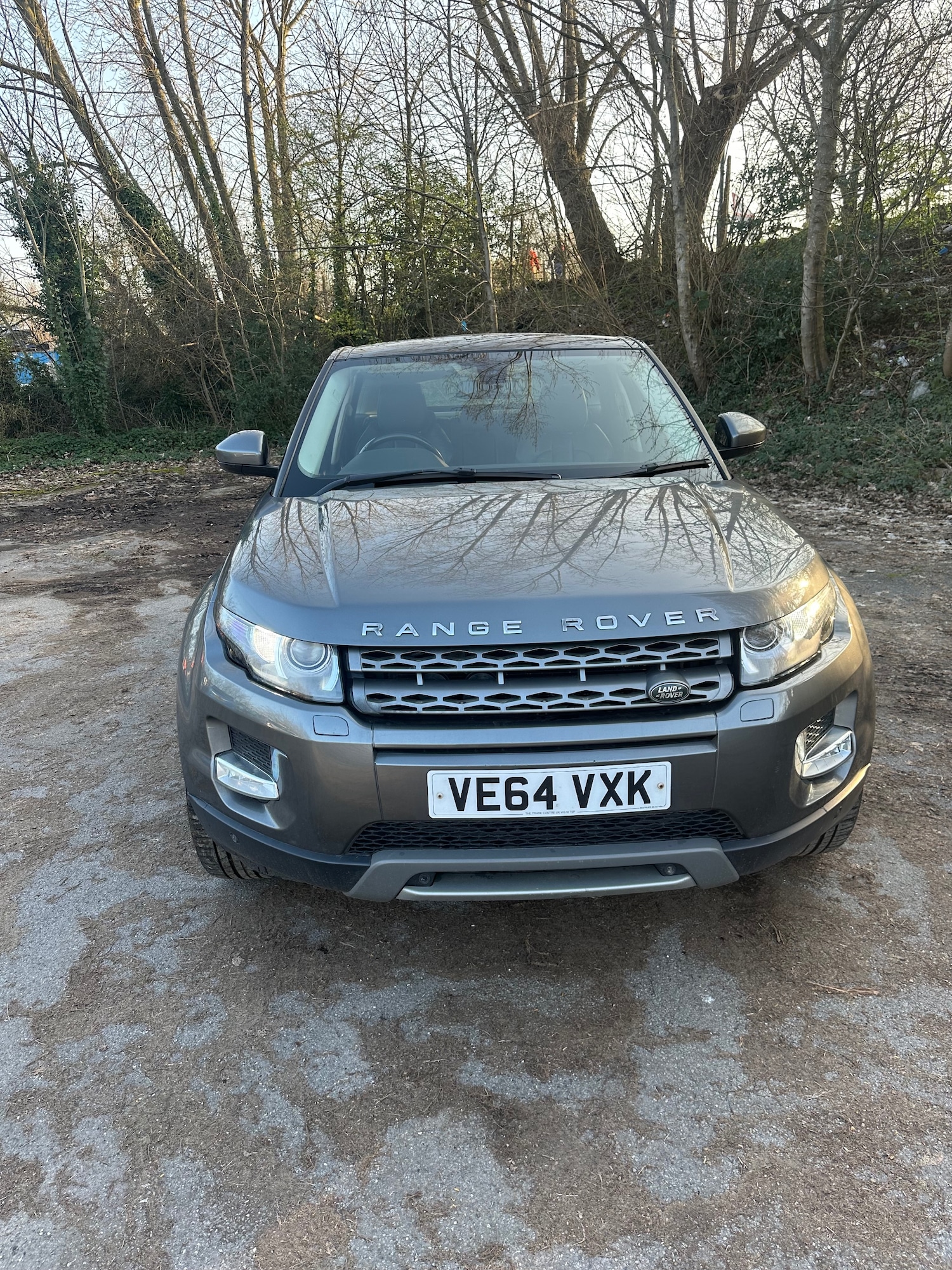 Used Land Rover Range Rover Evoque 2014 for sale - 77759464: Photo 29