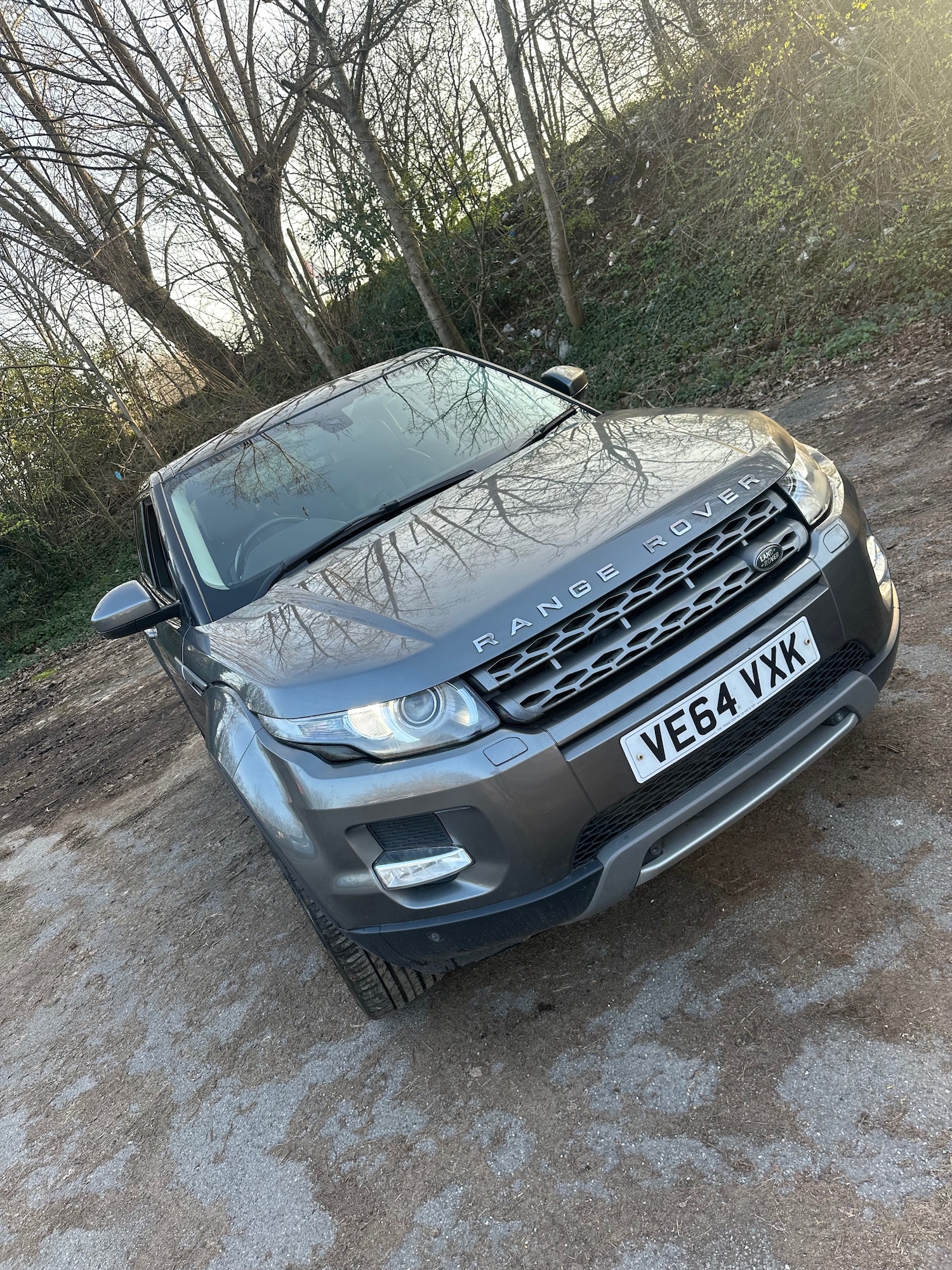 Used Land Rover Range Rover Evoque 2014 for sale - 77759464: Photo 6