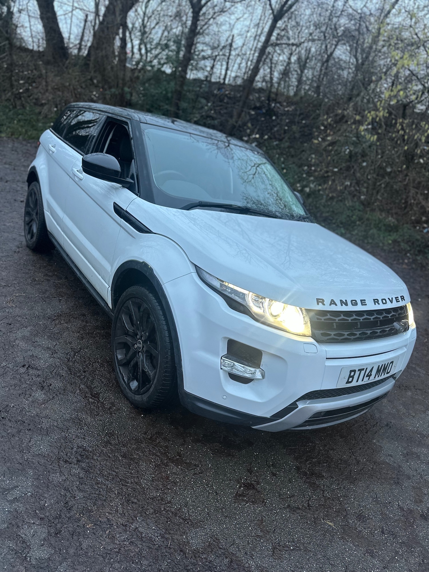 Used Land Rover Range Rover Evoque 2014 for sale - 77251434: Photo 14