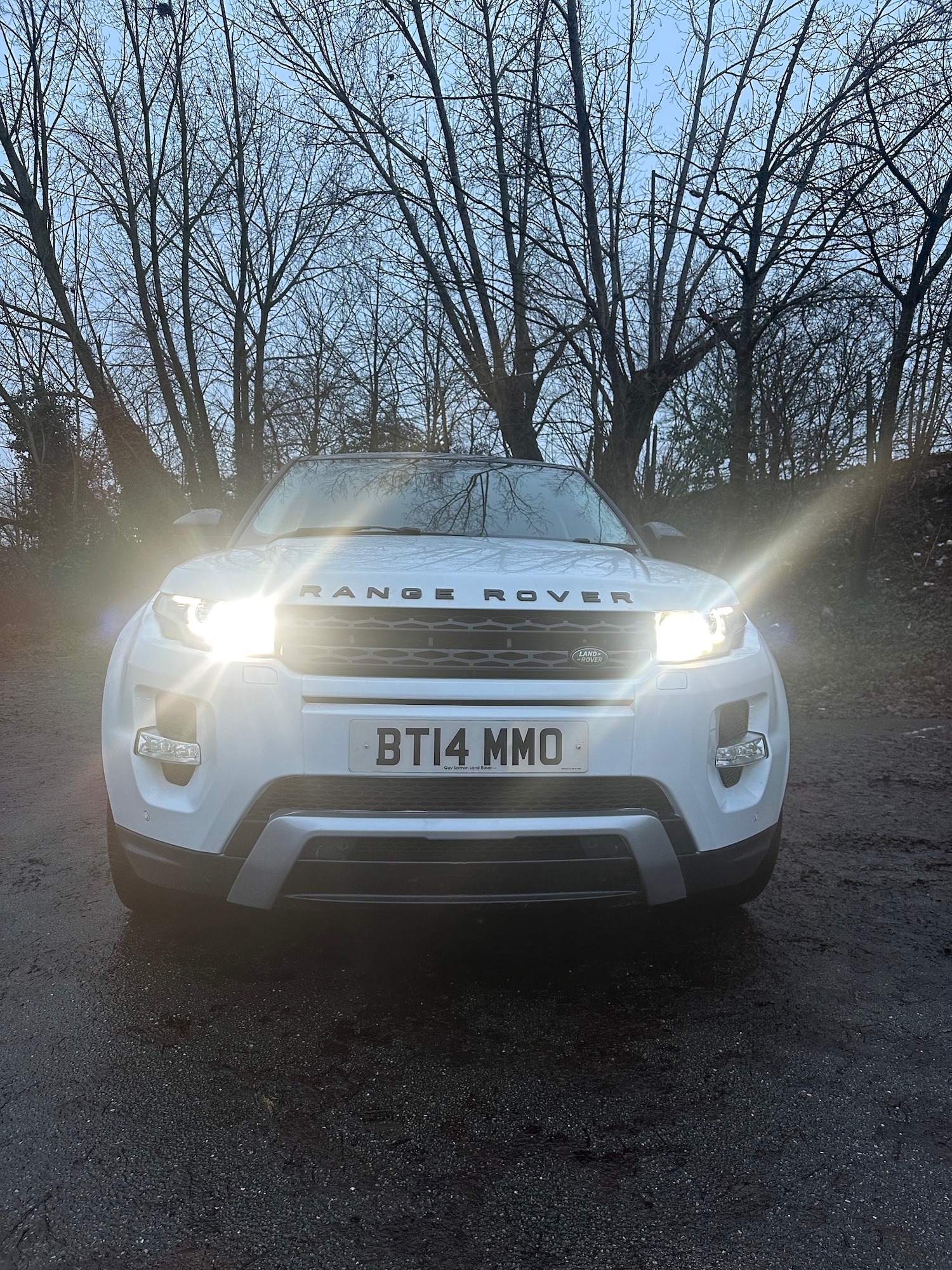 Used Land Rover Range Rover Evoque 2014 for sale - 77251434: Photo 3