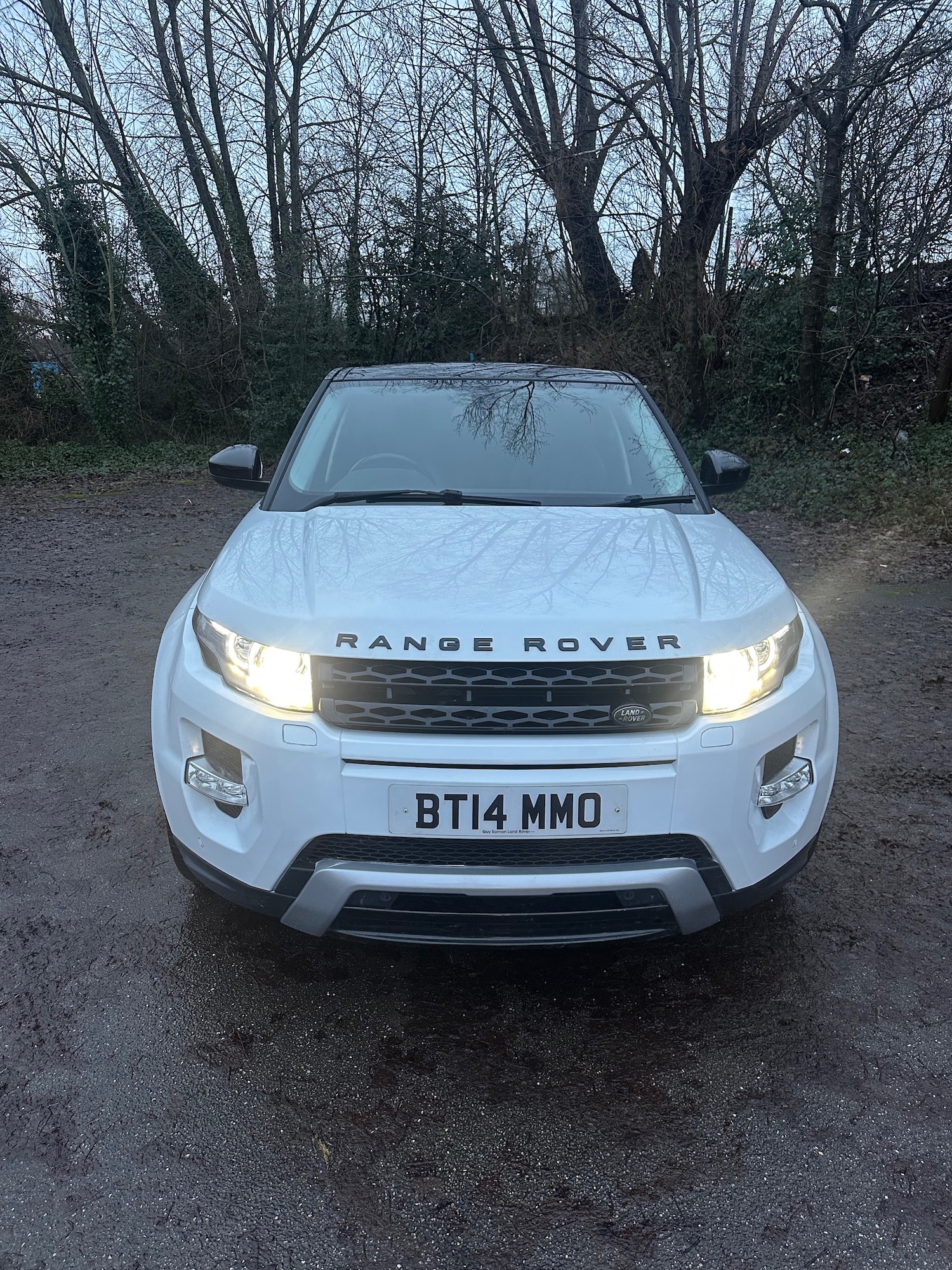 Used Land Rover Range Rover Evoque 2014 for sale - 77251434: Photo 5