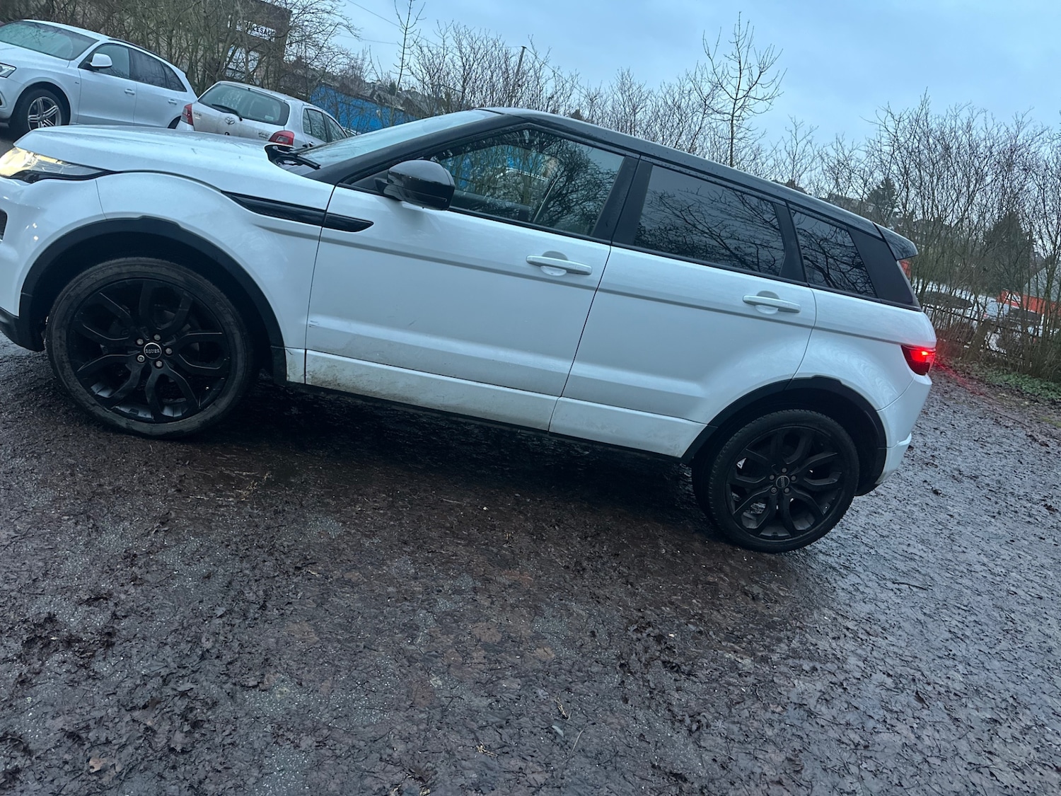 Used Land Rover Range Rover Evoque 2014 for sale - 77251434: Photo 7