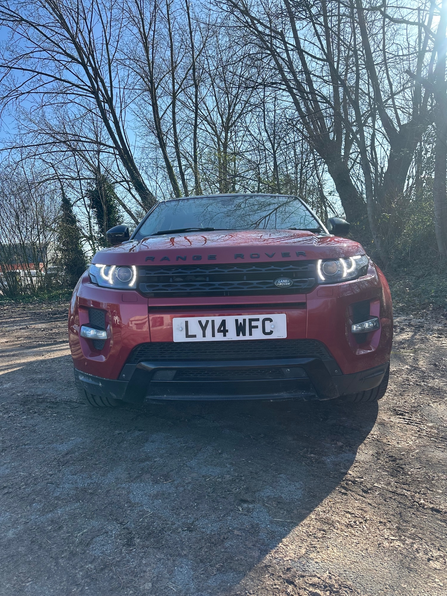 Used Land Rover Range Rover Evoque 2014 for sale - 77744373: Photo 2