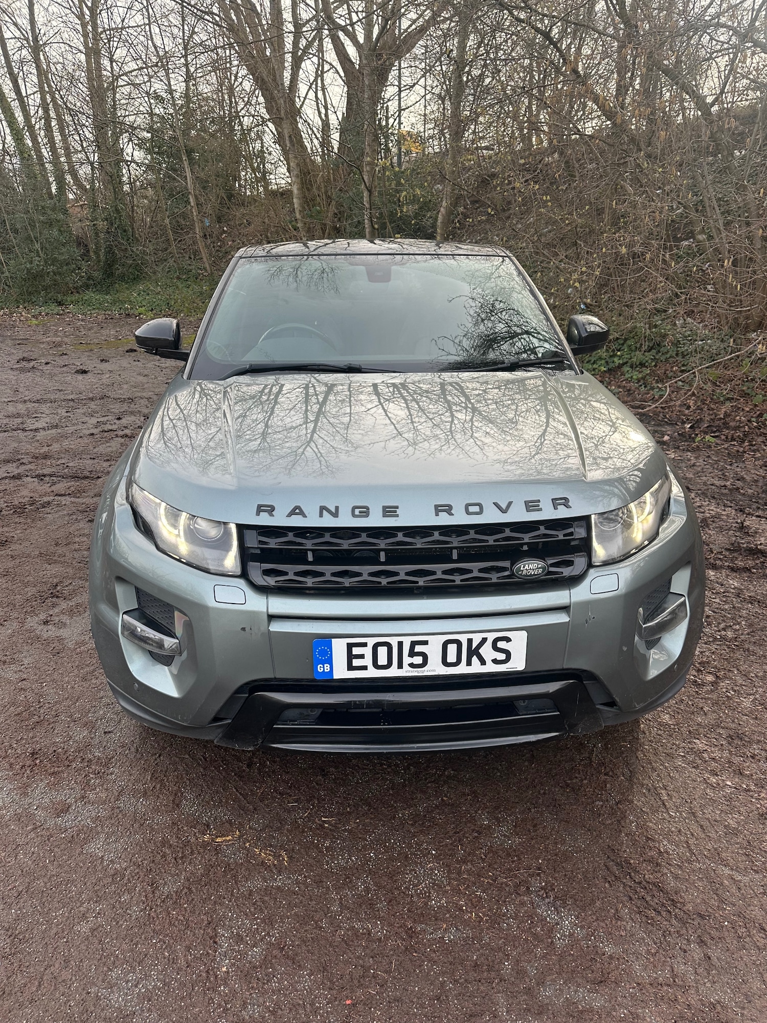 Used Land Rover Range Rover Evoque 2015 for sale - 77618432: Photo 4