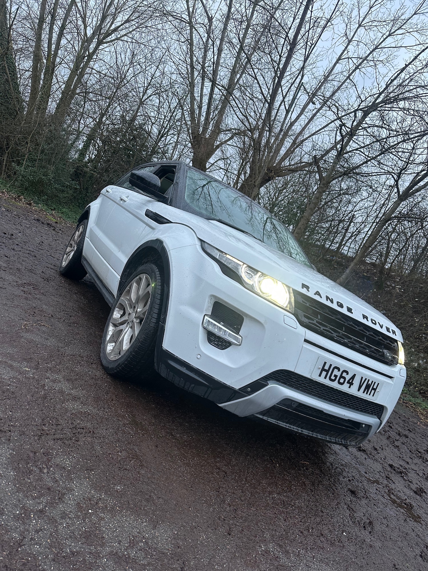 Used Land Rover Range Rover Evoque 2014 for sale - 77532462: Photo 2