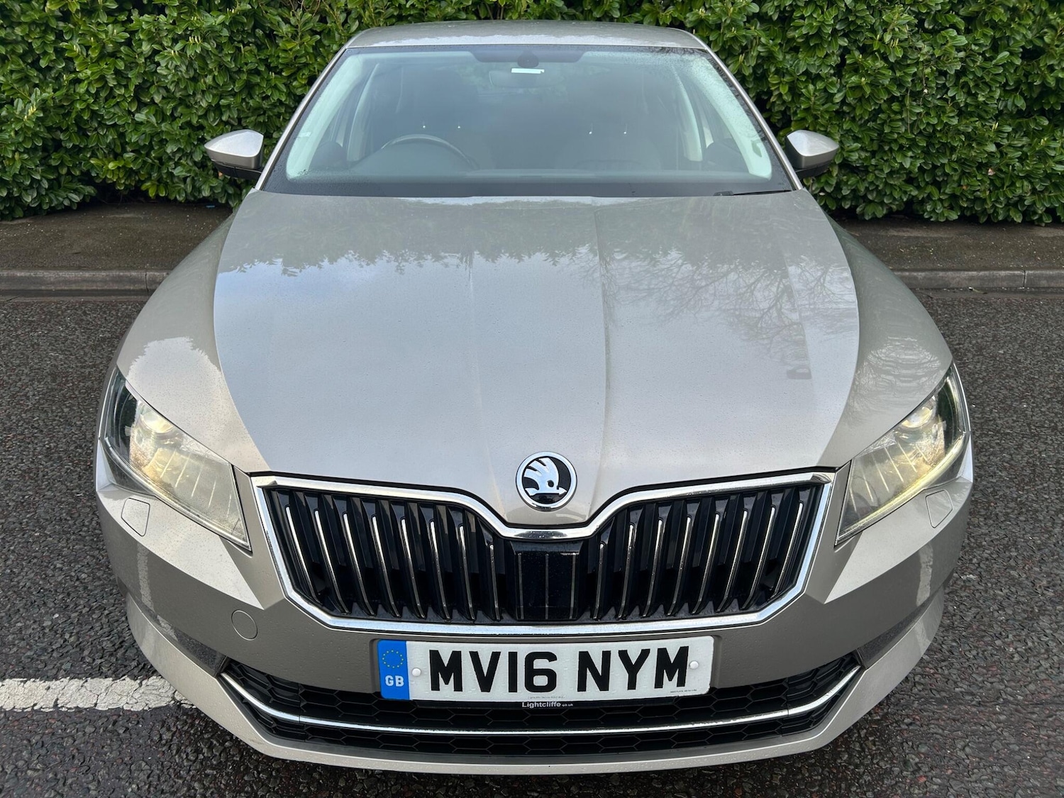 Used Skoda Superb 2016 for sale - 77805035: Photo 9