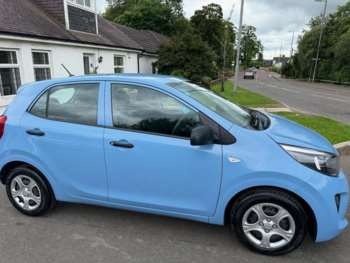 Used Kia Picanto 2019 for sale - 75106715: Photo