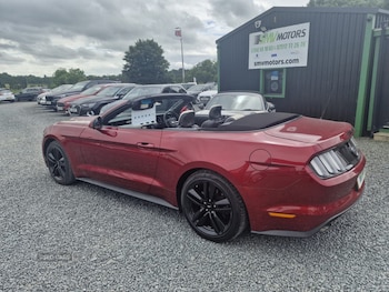 Used Ford Mustang 2016 for sale - 79076448: Photo