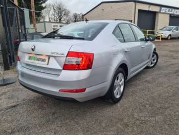 Used Skoda Octavia 2016 for sale - 74228656: Photo