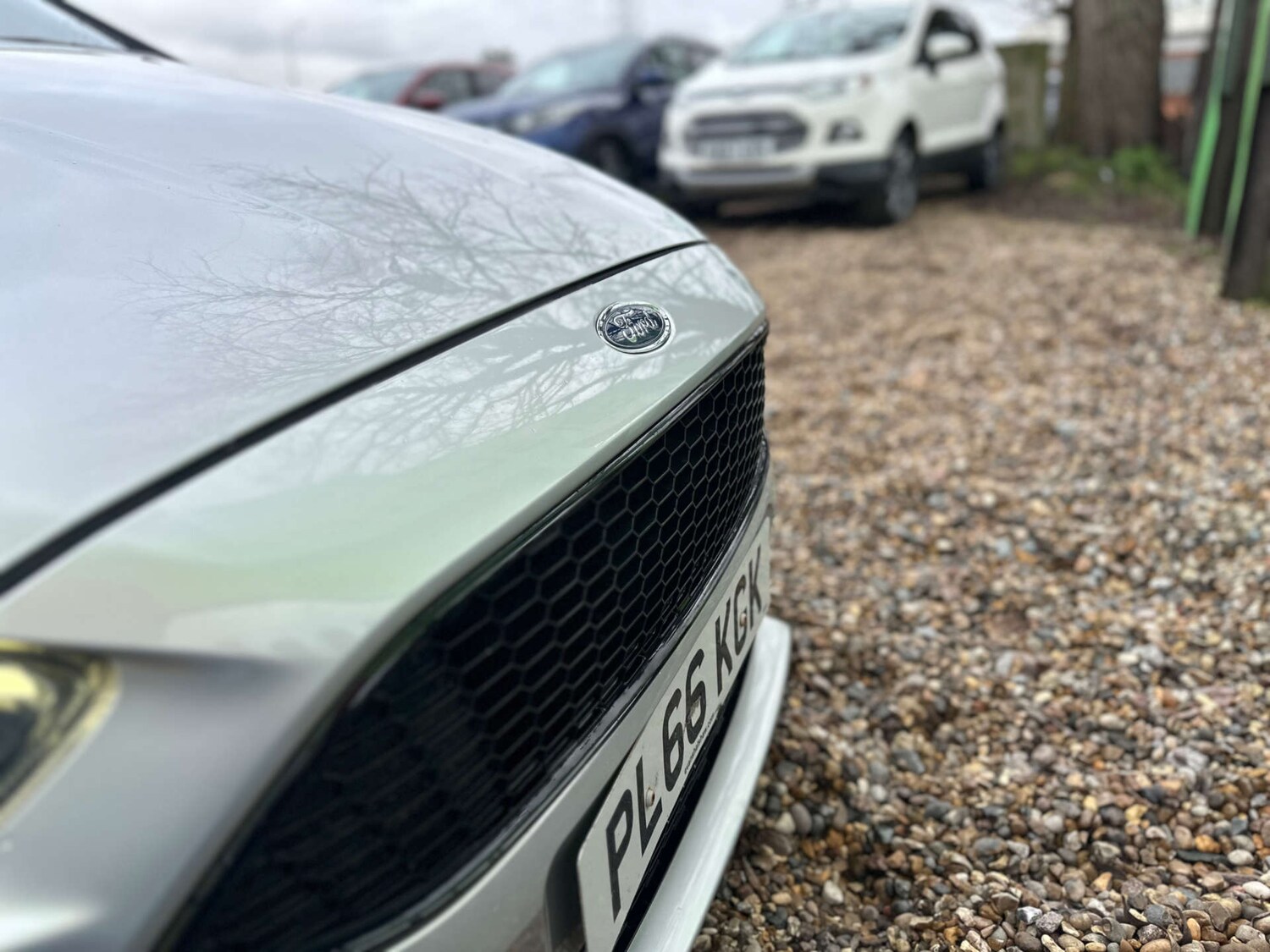 Used Ford Focus 2016 for sale - 77571264: Photo 41