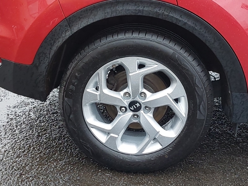 Used Kia Sportage 2019 for sale - 77338575: Photo 12