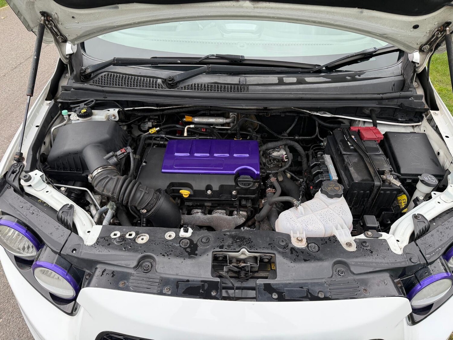 Used Chevrolet Aveo 2014 for sale - 77687723: Photo 11