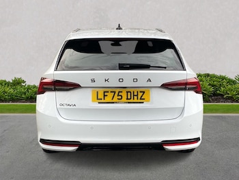 Used Skoda Octavia 2025 for sale - 76848750: Photo