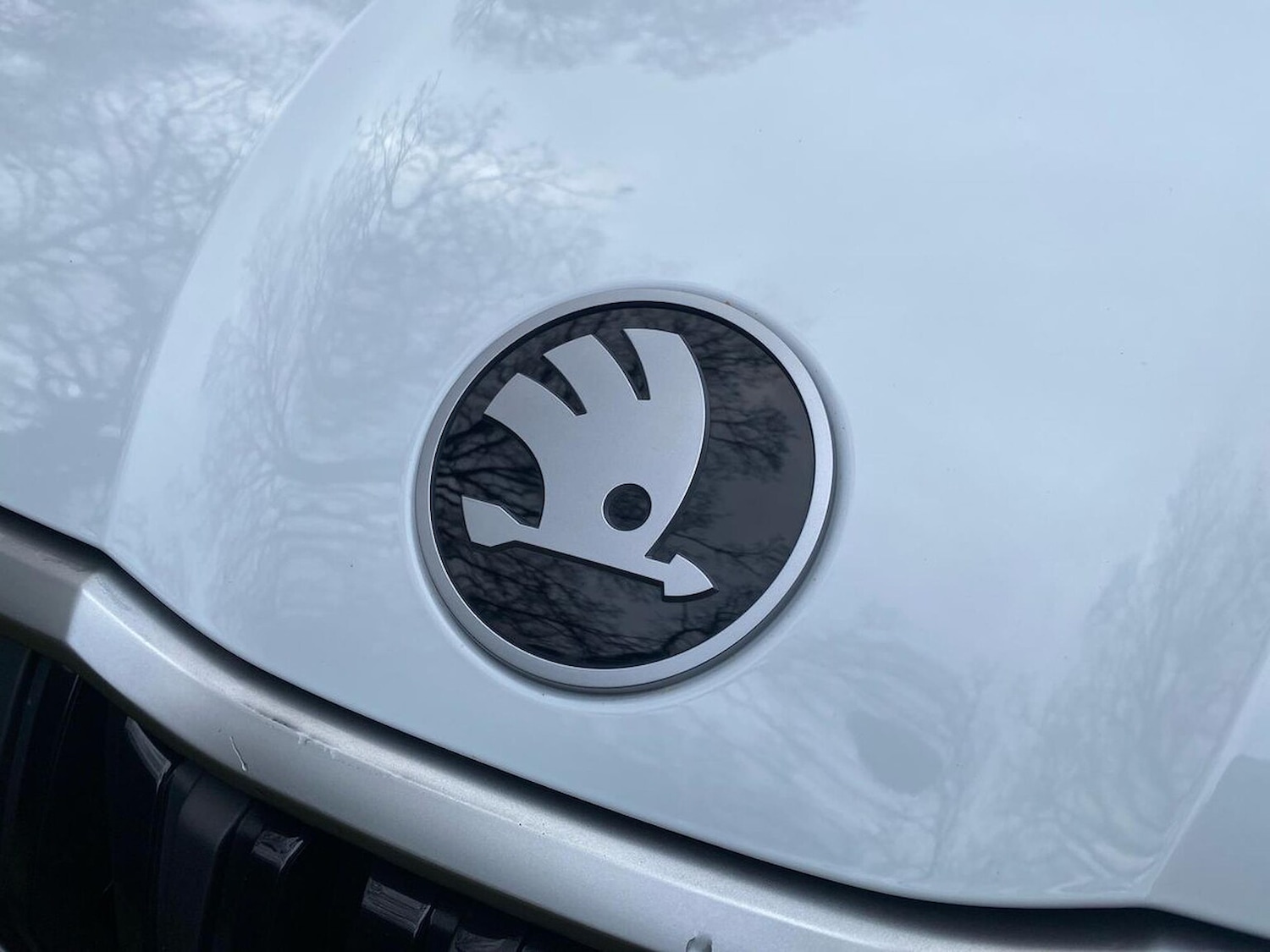 Used Skoda Kodiaq 2024 for sale - 76968975: Photo 31