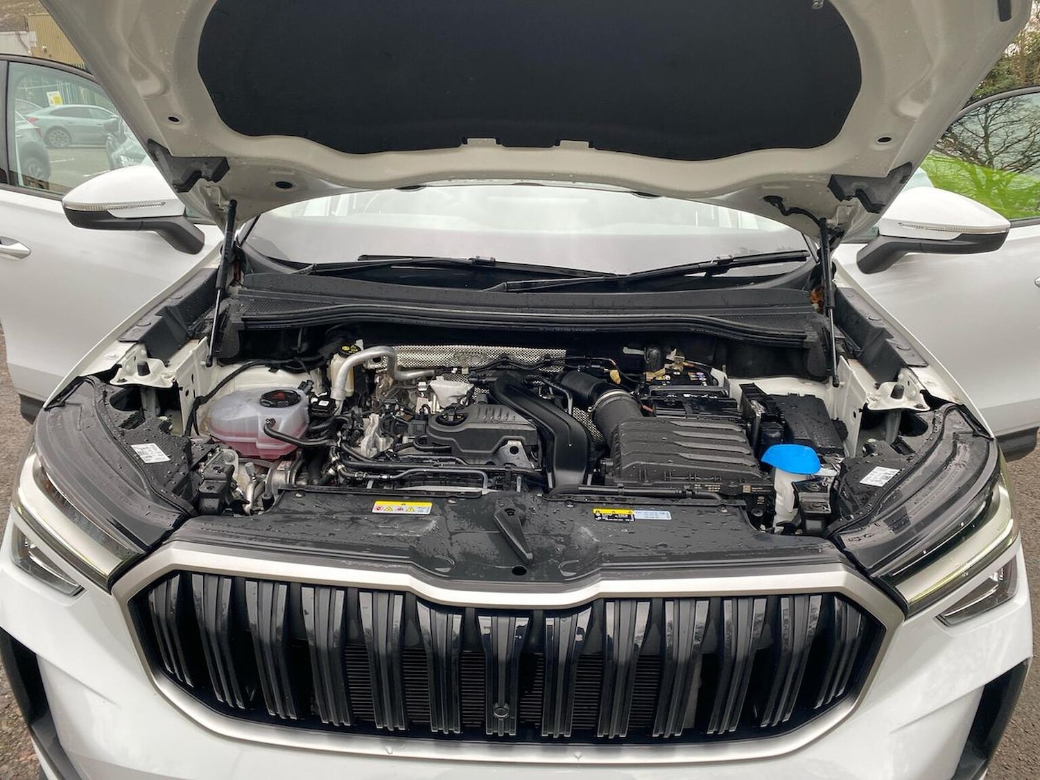 Used Skoda Kodiaq 2024 for sale - 76968982: Photo 40