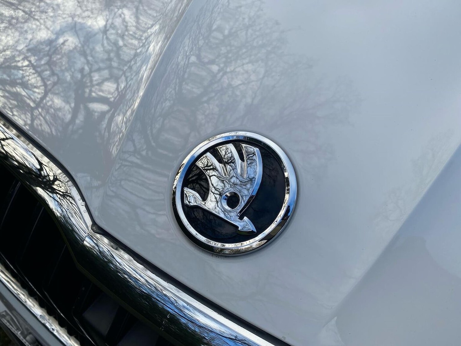 Used Skoda Fabia 2022 for sale - 76918957: Photo 30