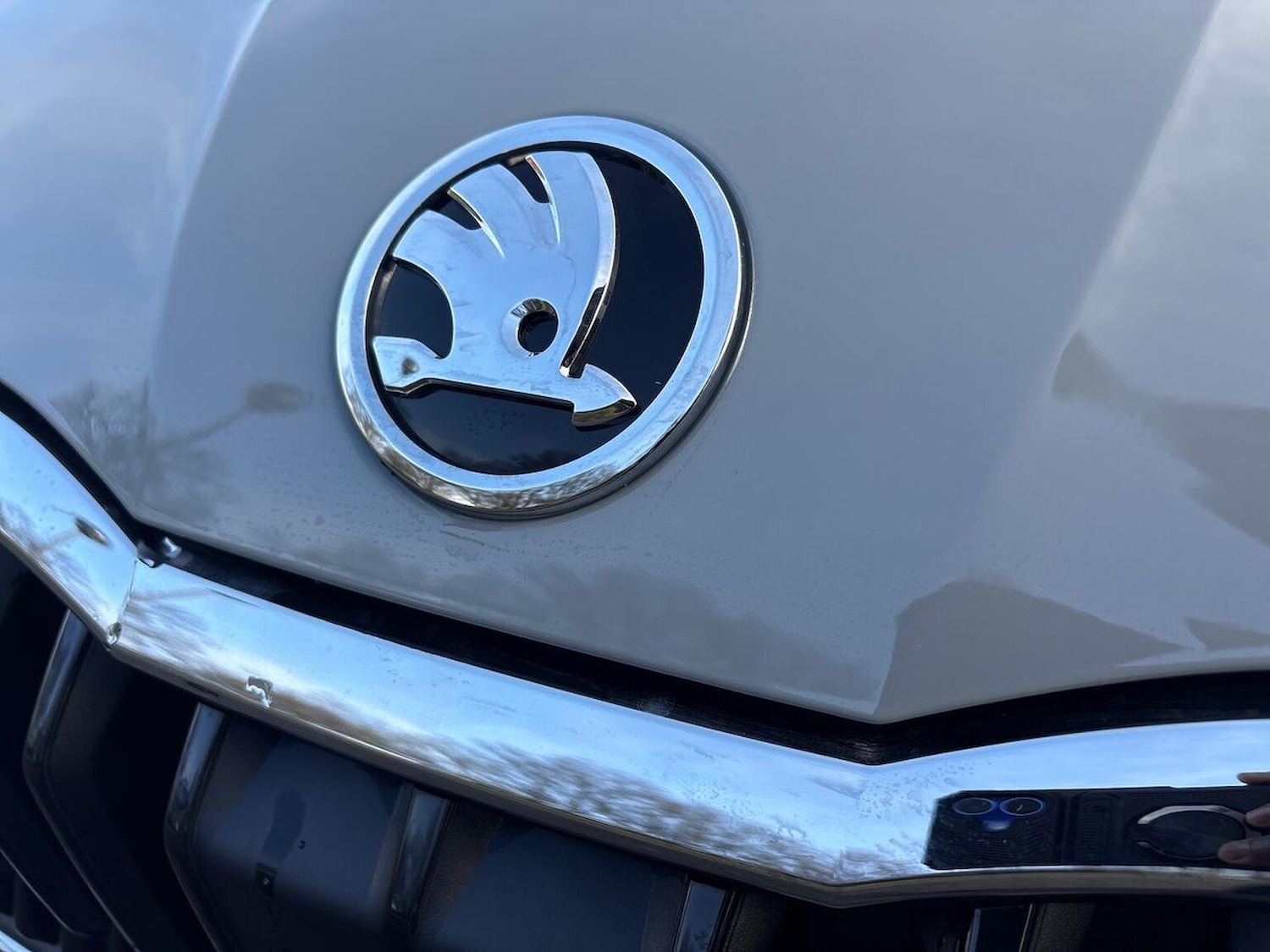 Used Skoda Scala 2025 for sale - 77555311: Photo 32