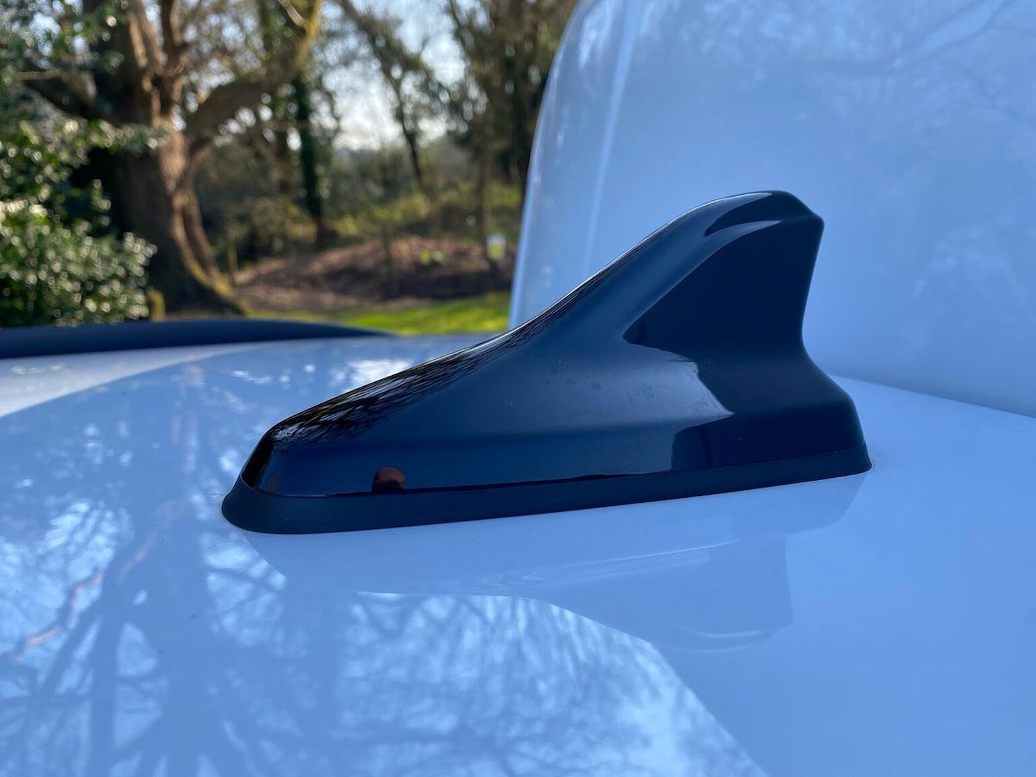 Used Skoda Kodiaq 2024 for sale - 78194568: Photo 36