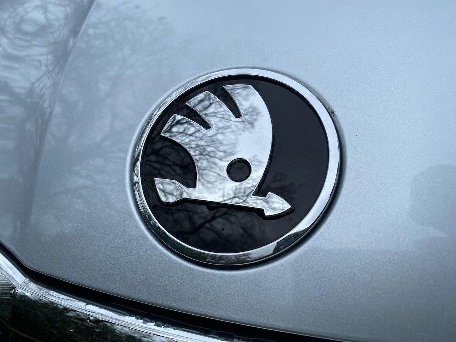 Used Skoda Octavia 2024 for sale - 76860067: Photo 32