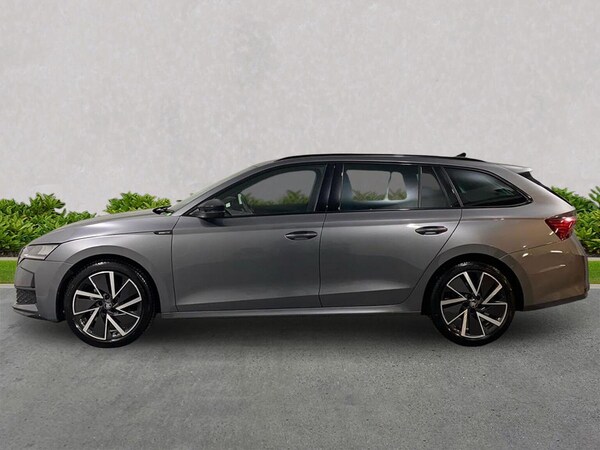 Used Skoda Octavia 2025 for sale - 76273536: Photo 19