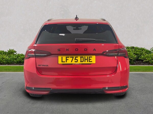 Used Skoda Octavia 2025 for sale - 76127131: Photo 6