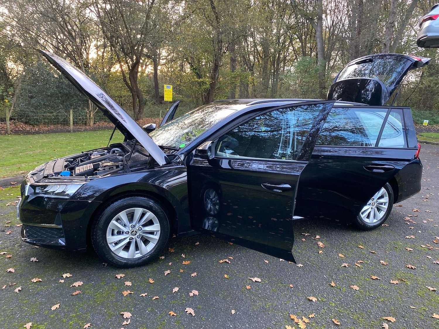 Used Skoda Octavia 2024 for sale - 76566513: Photo 37