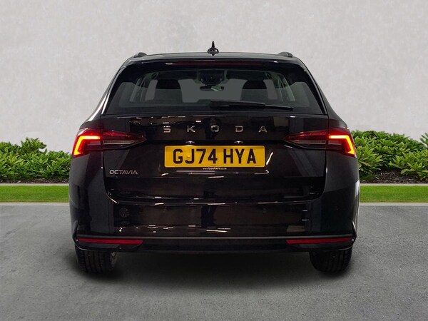 Used Skoda Octavia 2024 for sale - 76273542: Photo 6