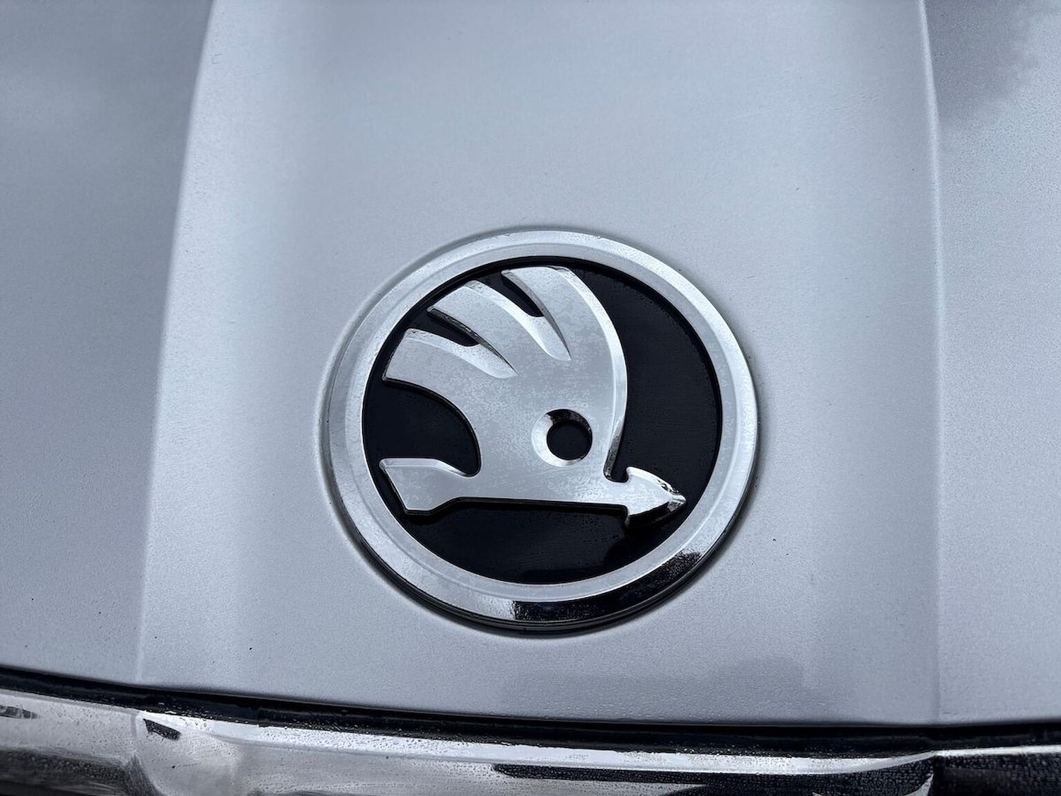 Used Skoda Enyaq 2023 for sale - 78168981: Photo 32